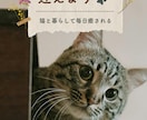 猫instagramの投稿や広告画像制作します ねこに特化！イメージに寄り添い丁寧にデザイン制作いたします！ イメージ9