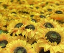 こころの悩み相談承ります しんどいこと、つらいこと、吐き出して少し楽になりましょう イメージ1