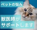 犬猫の病気の相談、オンラインで乗ります 動物病院に行く前・行った後に、気軽に相談できる獣医師サポート イメージ1