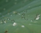 東京都、神奈川県での出張撮影、レタッチを行います 雑誌のような記憶に残る素敵な1枚を イメージ8