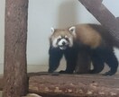 素材用に写真を提供します ご意見等ありましたらコメントください イメージ8