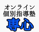 小中高国語のオンライン家庭教師をいたします 塾講師歴6年、合格者多数輩出の講師が個別指導いたします！ イメージ1