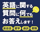 英語に関する相談なら何でも相談に乗ります アメリカで長年生活した私が英語の事は何でも相談に乗ります。 イメージ1