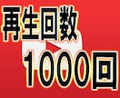 YouTube動画の再生回数が増えるよう宣伝します 高品質★再生回数が1000回増えるまでプロモーション イメージ1