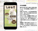 SNS集客に強い！スマホ特化LP制作します Canvaで作成！結果の出るLPを構築します イメージ4