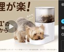 クラウドファンディングページの文章を作成します 【累計200件超え】成功に必要な事前集客のコンテンツ付き イメージ6