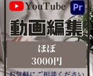 youtube編集承ります コミュケーションを一番大切に考えています！ イメージ1