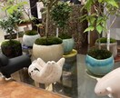 風景、花の画像提供します 風景、花、日常の写真提供します。 イメージ6