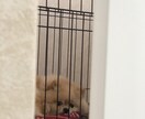 わんちゃん飼えない方ポメラニアンがあなたを癒します 疲れた心をわんちゃん（ポメラニアン）の何気ない行動で癒します イメージ3