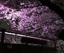 あなたのお話なんでも聞きます 誰にも話せない、話せる相手がいない、どんな事で大丈夫です。 イメージ6