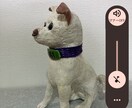 愛犬・愛猫のお写真から作品を制作します 大切な家族の思い出を形に残します イメージ2