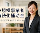 小規模事業者持続化補助金の申請支援を行います 補助金特化税理士による計画書(様式2)作成支援サービス イメージ5