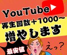 YouTube動画再生回数+1000回増加させます 【最安値✨収益化への近道】YouTube運営に悩む方必見！ イメージ1