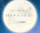 30分チャットでペットの気持ちをタロットでみます 愛おしいペットの思い、伝えます イメージ1
