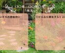 サビアンカード１枚引きします 日々の不安、悩み、家族、仕事、人間関係、心に寄り添うカード イメージ4