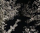 恋愛・愚痴OK！どんな悩みでも聞きます 否定せずお話聞きますので、どなたでもどうぞ。 イメージ1