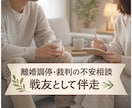 離婚調停・裁判の不安相談｜戦友として伴走します 7年調停～離婚裁判を戦った当事者の経験を全てあなたのために！ イメージ1