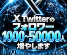 旧Twitter/X フォロワー増加させます あなたのアカウントに、知ってもらうきっかけを イメージ1