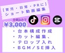 Instagram・TikTok縦動画を編集します 【シンプルプラン】ショート動画、構成から丁寧に制作します イメージ1