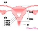あなたを好きになる♪子宮ヒーリングワークを教えます 自己愛を育てる愛のヒーリングレッスン♪ イメージ3