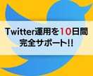 10日間Twitter運用をサポートします 本気で1000フォロワー目指す方必見です！ イメージ1