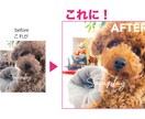 荒い写真を魅力ある写真に作り変えます 明るさ、鮮やかさ、美しさが、解像度が向上します！ イメージ1
