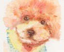 透明水彩で雰囲気のある似顔絵作成致します 透明水彩の特徴を活かした似顔絵で注目されること間違いなし! イメージ1