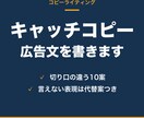 商品・サービスのキャッチコピーと広告文を書きます 「特徴」を「買う理由」に言い換えて、切り口の違う案を出します イメージ1