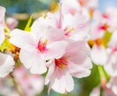 生きててえらい!貴方のことをメチャメチャ褒めます 今日も頑張っててすごい!目が覚めただけで花丸 イメージ1