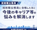 技術職公務員の今後のキャリア相談・お悩み解消します 合格後の不安解消・キャリア相談・悩み解消サポート イメージ1