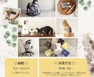 あらゆるペット用品の撮影を承ります ペット手配無料、カメラマン確保も全てついた夢のPLANです イメージ7
