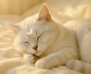 心のトゲを和らげます そっと寄り添う、心あたたまる鑑定 イメージ1