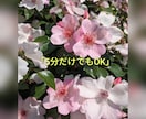 1人で抱え込んでいるお気持ちに寄り添います 子育て・不登校のお悩み。1人で抱えずお話ししませんか イメージ2