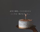 今すぐ誰かと繋がりたい！貴方を丸ごと受け止めます メディア出演心理のプロが丁寧に聴きます/悩み/愚痴/孤独感 イメージ6