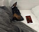 あなたに寄り添います どんなお話でも聞かせてください。気軽に話してみませんか？ イメージ1