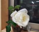 あの方に特別扱いされる未来へ☆あなたをいざないます あの方から追われたい。特別扱いされたい。未来を引き寄せます。 イメージ7