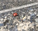 どんなお話でも真摯に聞かせていただきます タメて役に立つのはお金だけ！発散しましょう！ イメージ2