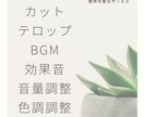 YouTube／SNS／広告動画の編集承ります あなたの想いを形にします。ぜひご相談から！ イメージ4