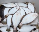 ボート釣りノウハウ教えます 釣り歴30年プレジャーボート乗ってます。 イメージ10