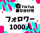 TikTokフォロワー1000人増やします TikTok集客・フォロワー増やし・拡散手伝います！ イメージ1