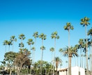 あなたの大切な商品をアメリカで撮影いたします カリフォルニア在住フォトグラファーがサポート！ イメージ1