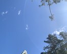 お気軽に占います 少しでもみなさんの心のモヤモヤを減らす事ができたら！ イメージ2