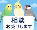 エキゾチックアニマルのお悩み相談お伺いします どんなペットの相談でもOKです イメージ3