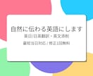 英語ネイティブにも自然に伝わる翻訳をします | 東京外大出身 | 2度の留学経験 | 塾講師経験あり イメージ1