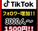 TikTokのフォロワーを3000人増やします 些細な疑問でもお答えしますのでご気軽に相談ください！ イメージ5