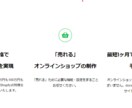 ECサイト構築検討をしている方の相談のります 【特典】相談者様には開始までに必要なTo doリストを送付 イメージ2