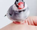 相談に厳しく、または優しくお応えします 人間関係（人生、恋愛、会社、学校など）の相談受付サービス。 イメージ1