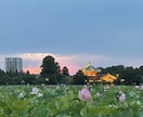 東京旅行の不安を現地目線で解決します 渋谷勤務＆ディズニー好き大学生が東京旅行をサポート！ イメージ1
