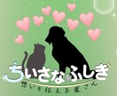 虹の橋を渡ったペット "想い出動画" つくります 「ありがとう。」　心に寄り添うナレーション。 イメージ10