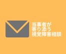 気軽に相談！視覚障害のお悩み　当事者が乗ります メッセージで気軽！視覚障害歴20年以上の当事者が寄り添います イメージ1